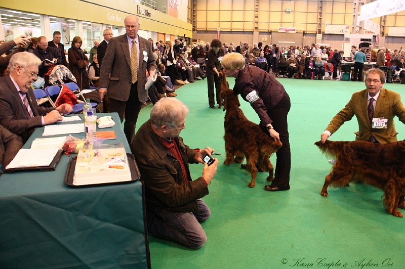 Crufts2011_2 106.jpg